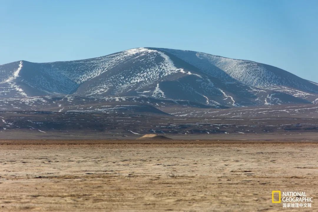 可可西里爱而不得,不要盲目向往可可西里