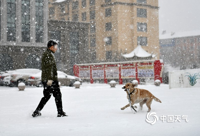 中国春雨图鉴图片,春雨图片大全大图