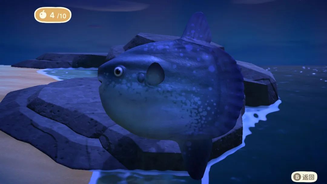 星期一不上班睡觉,每天排队上岛