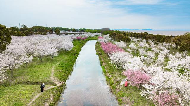 海洪宁静,海洪宁静海涛宁谧什么意思
