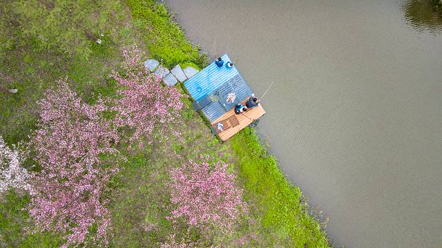 海洪宁静,海洪宁静海涛宁谧什么意思
