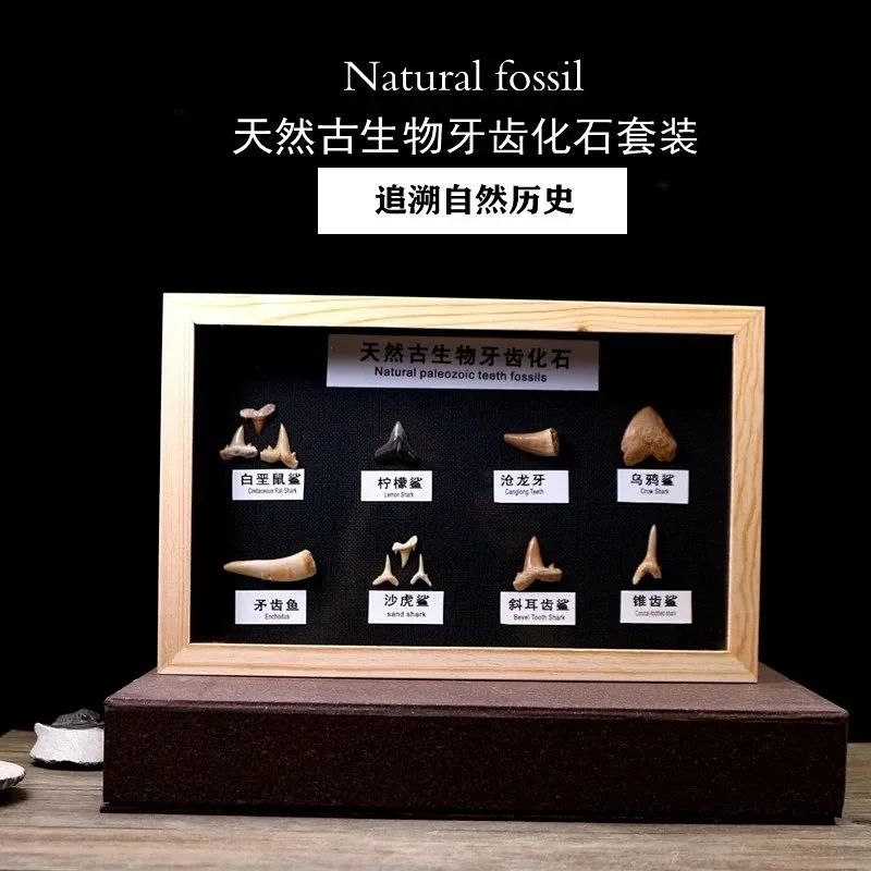 舟山是哪位神仙的道场,舟山都是什么仙家