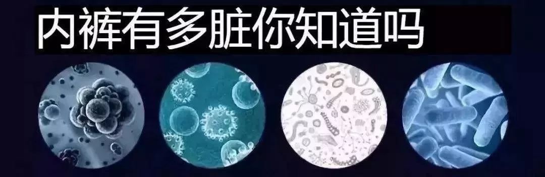 北极绒高腰提臀收腹,高腰收腹提臀保暖显瘦