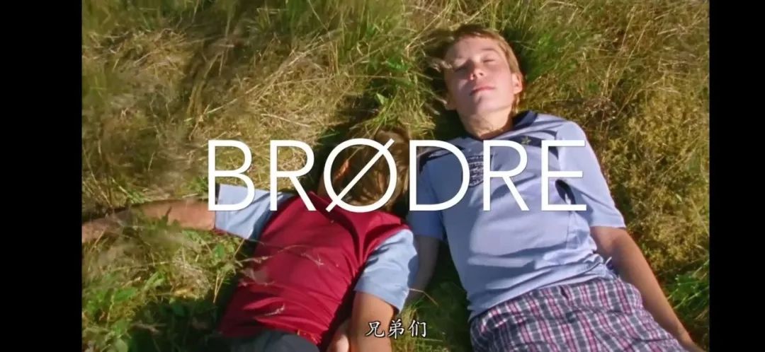 是枝裕和死亡美学,是枝裕和歌曲