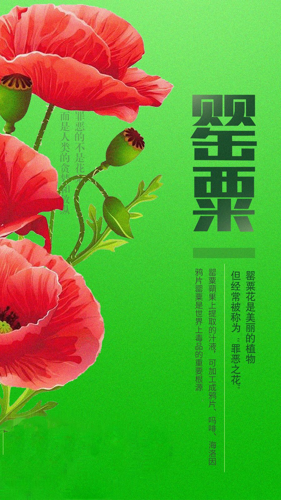 有毒的食物不能乱吃,有毒的食物别再吃