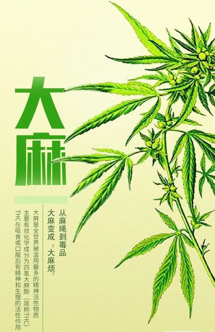 有毒的食物不能乱吃,有毒的食物别再吃