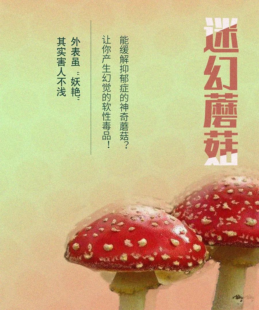 有毒的食物不能乱吃,有毒的食物别再吃