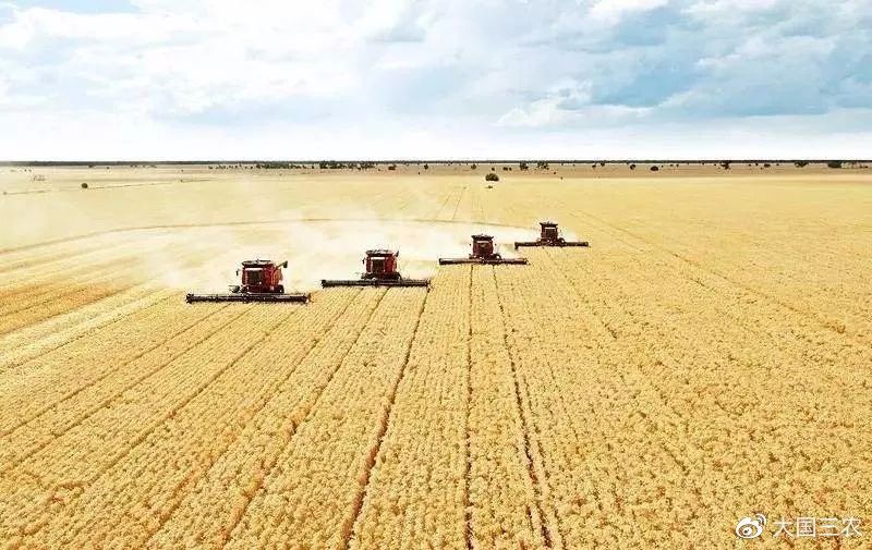 新冠疫情对粮食的影响,联合国发出疫情期间粮食警告