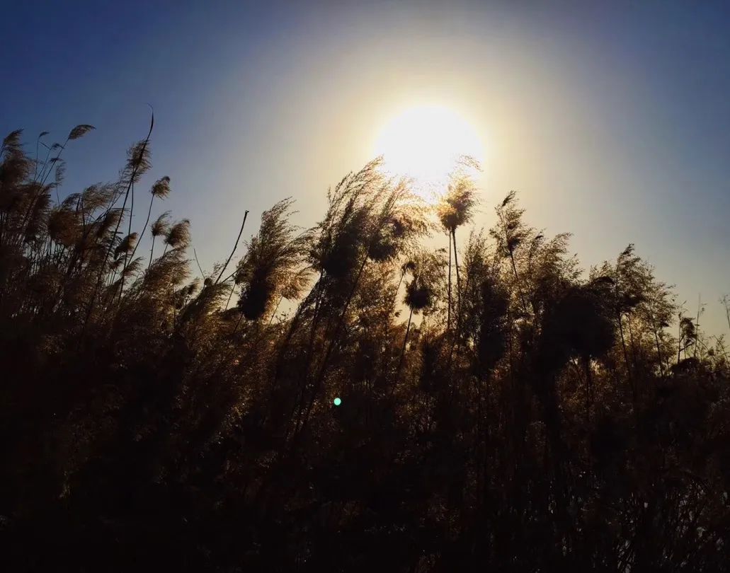 青山绿水一幅美丽的山水画,山清水秀世外桃源彩墨山水画