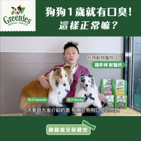 8岁狗狗牙周炎怎么办,狗狗好多牙结石怎么处理