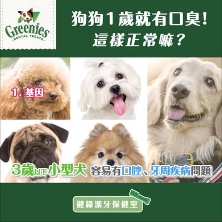 8岁狗狗牙周炎怎么办,狗狗好多牙结石怎么处理