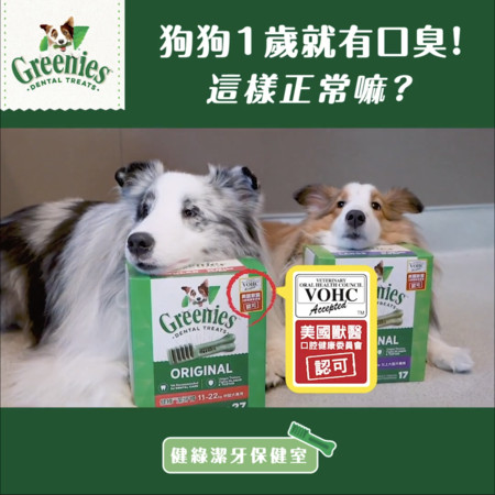 8岁狗狗牙周炎怎么办,狗狗好多牙结石怎么处理