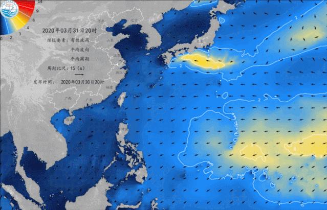 2020高校应届生看过来!小海苔期待和你做同事噢~