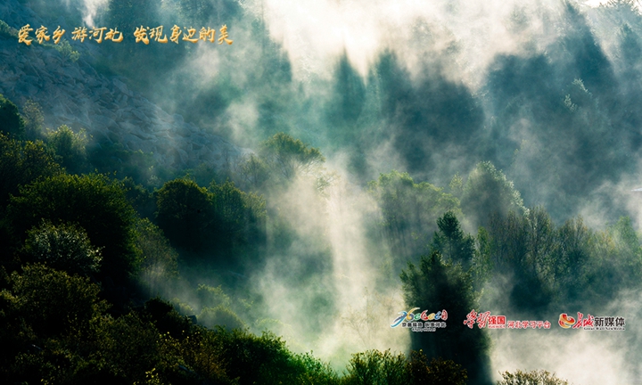 爱家乡河北,河北省著名旅游景点丰宁坝上草原