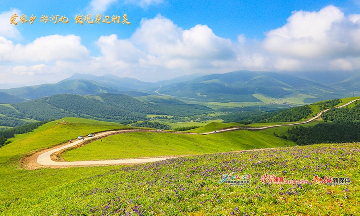 爱家乡河北,河北省著名旅游景点丰宁坝上草原