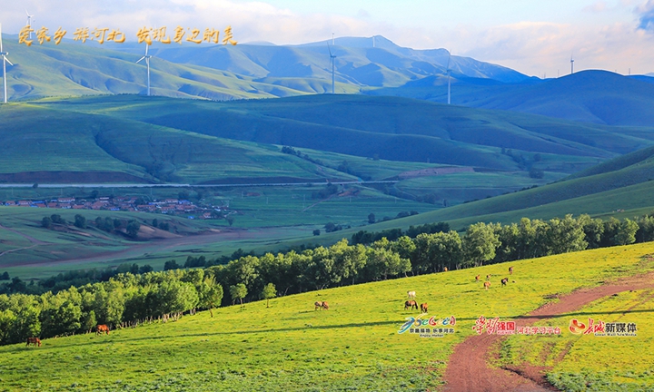 爱家乡河北,河北省著名旅游景点丰宁坝上草原