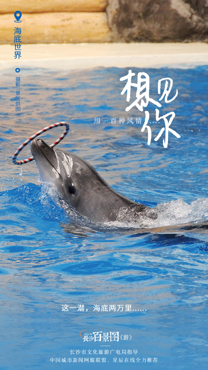 春风得意马蹄疾一日游攻略,长沙旅游最优路线攻略来了