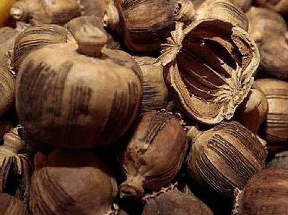 别不信，这些*品毒**你可能认不出来！