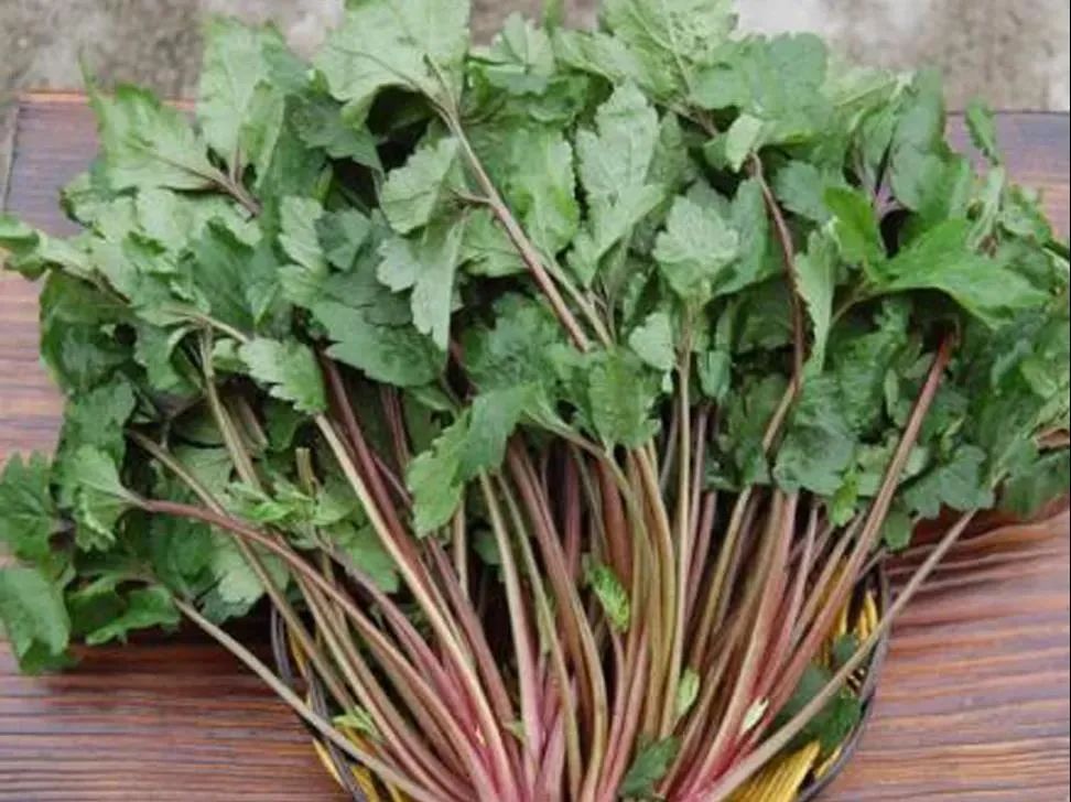 别不信，这些*品毒**你可能认不出来！