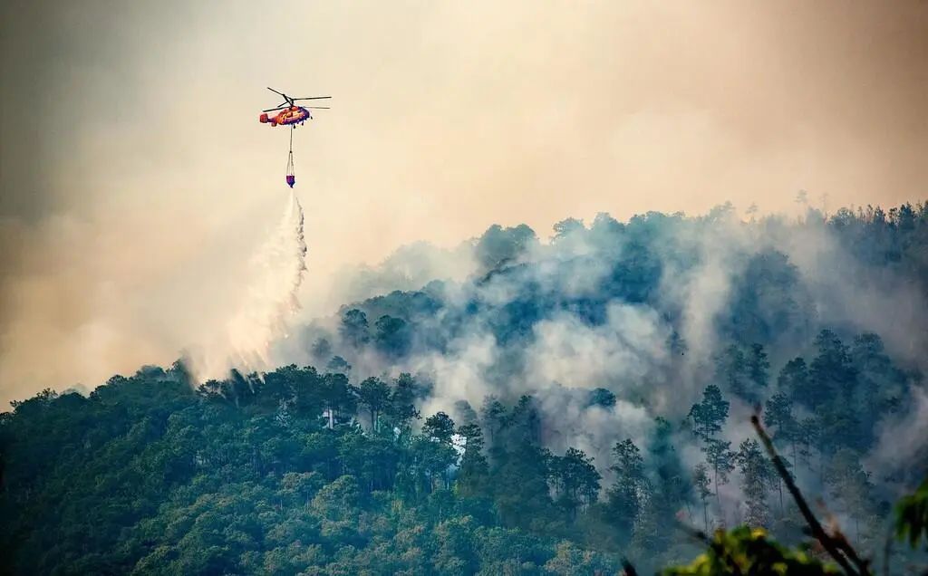 西昌大火起火原因,火灾西昌最新消息