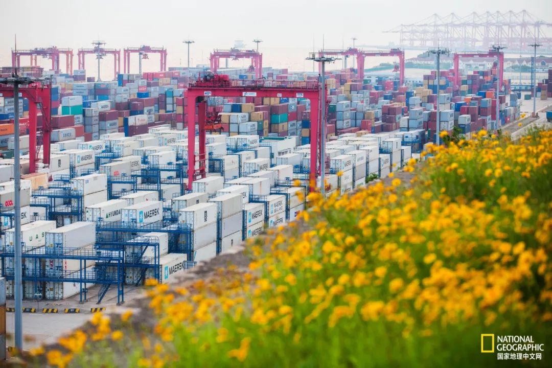 舟山是哪位神仙的道场,舟山都是什么仙家