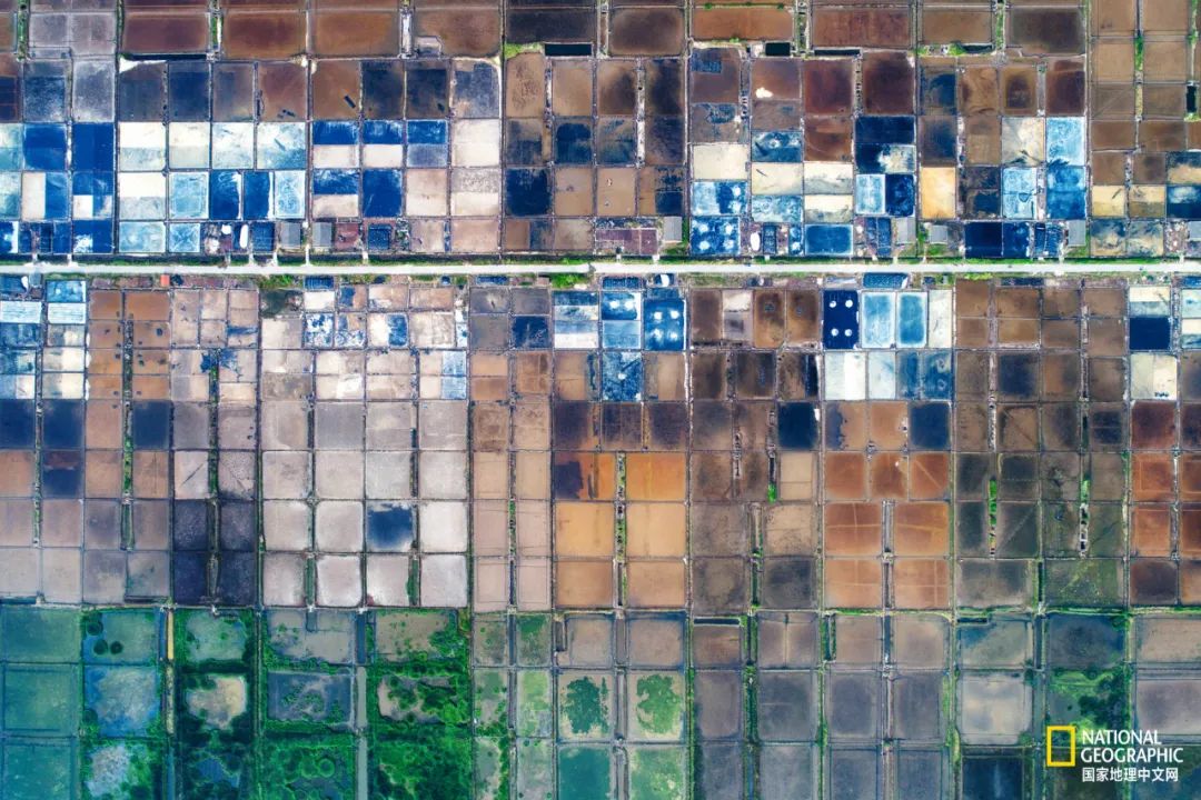 舟山是哪位神仙的道场,舟山都是什么仙家