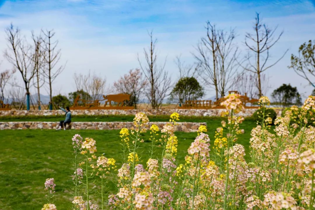 南京江宁网红打卡点有哪些,春日限定江宁新晋网红打卡点出炉