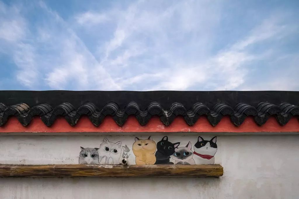 南京江宁网红打卡点有哪些,春日限定江宁新晋网红打卡点出炉