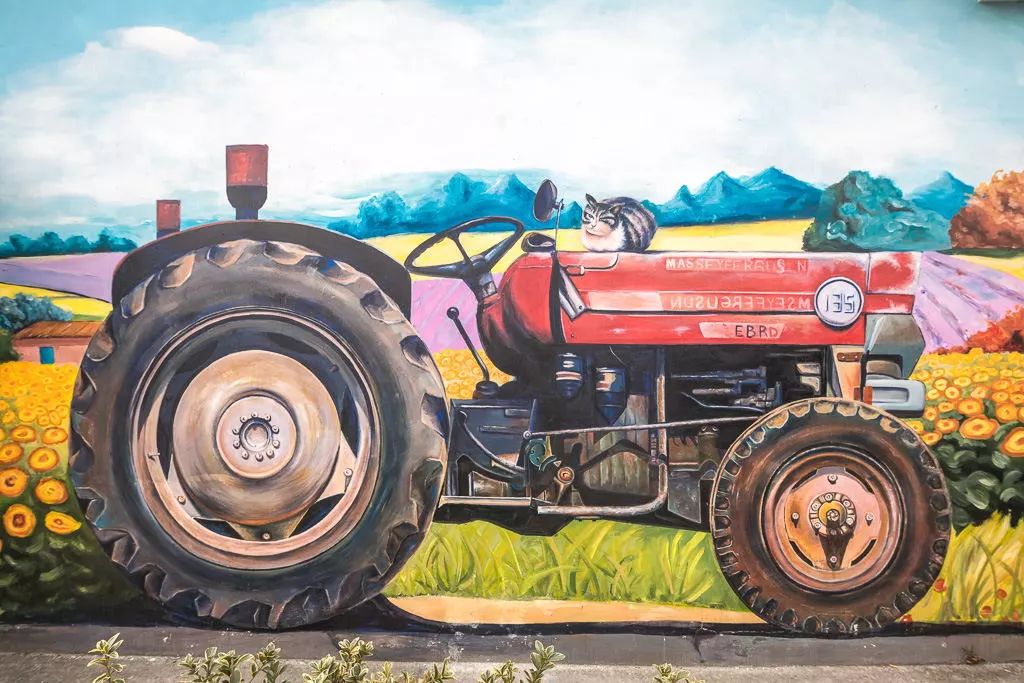 南京江宁网红打卡点有哪些,春日限定江宁新晋网红打卡点出炉