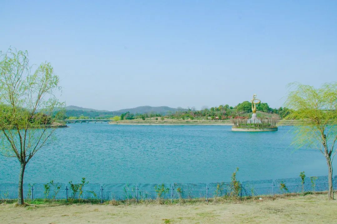 南京江宁网红打卡点有哪些,春日限定江宁新晋网红打卡点出炉