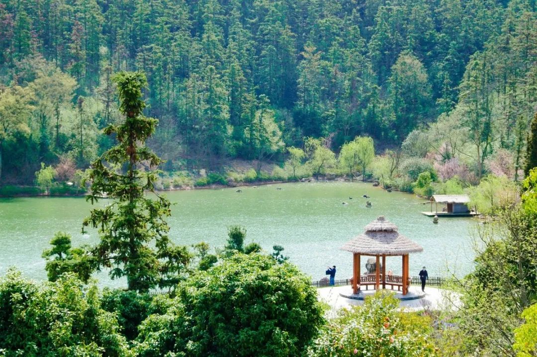 南京江宁网红打卡点有哪些,春日限定江宁新晋网红打卡点出炉