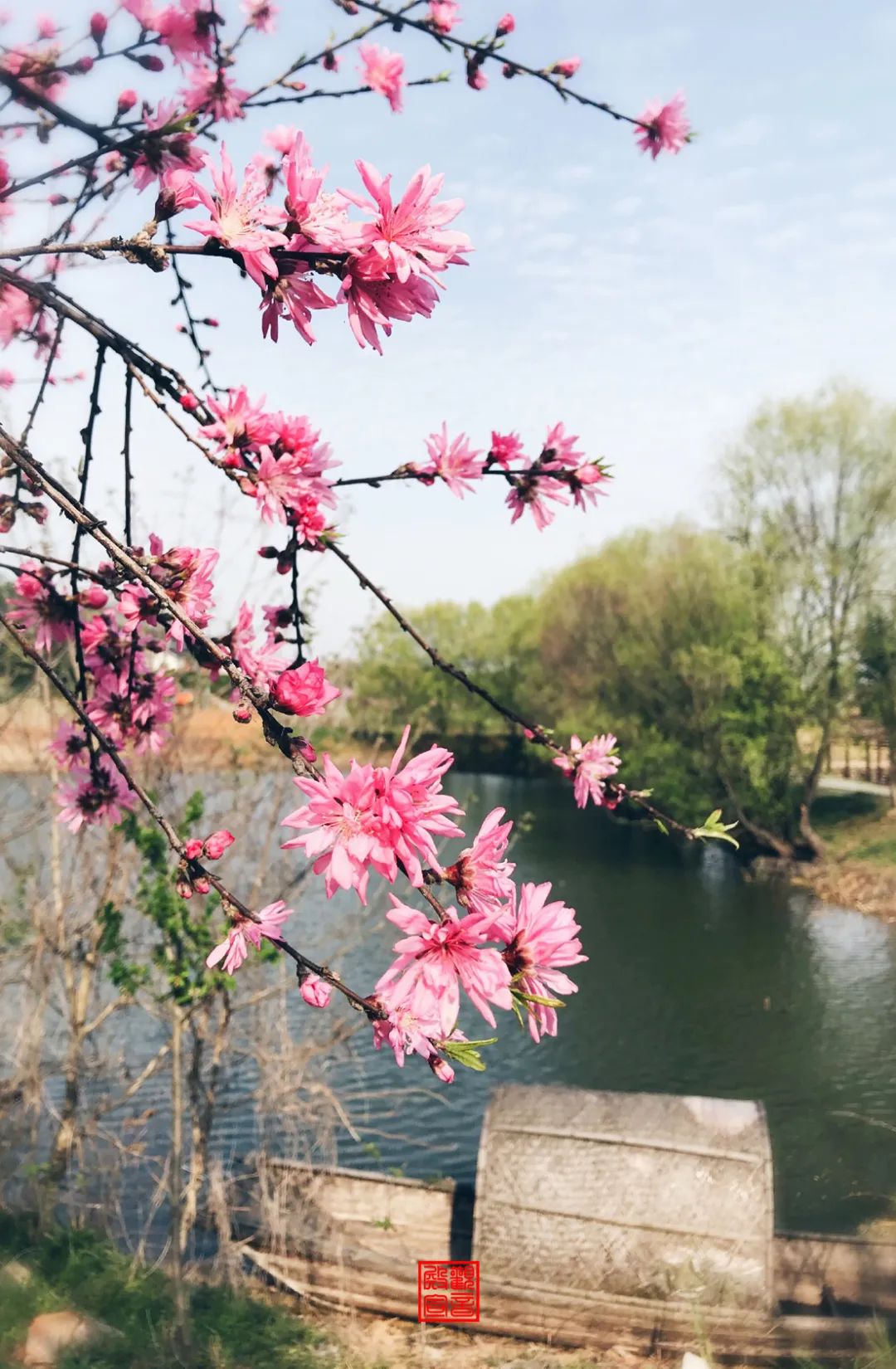 南京江宁网红打卡点有哪些,春日限定江宁新晋网红打卡点出炉