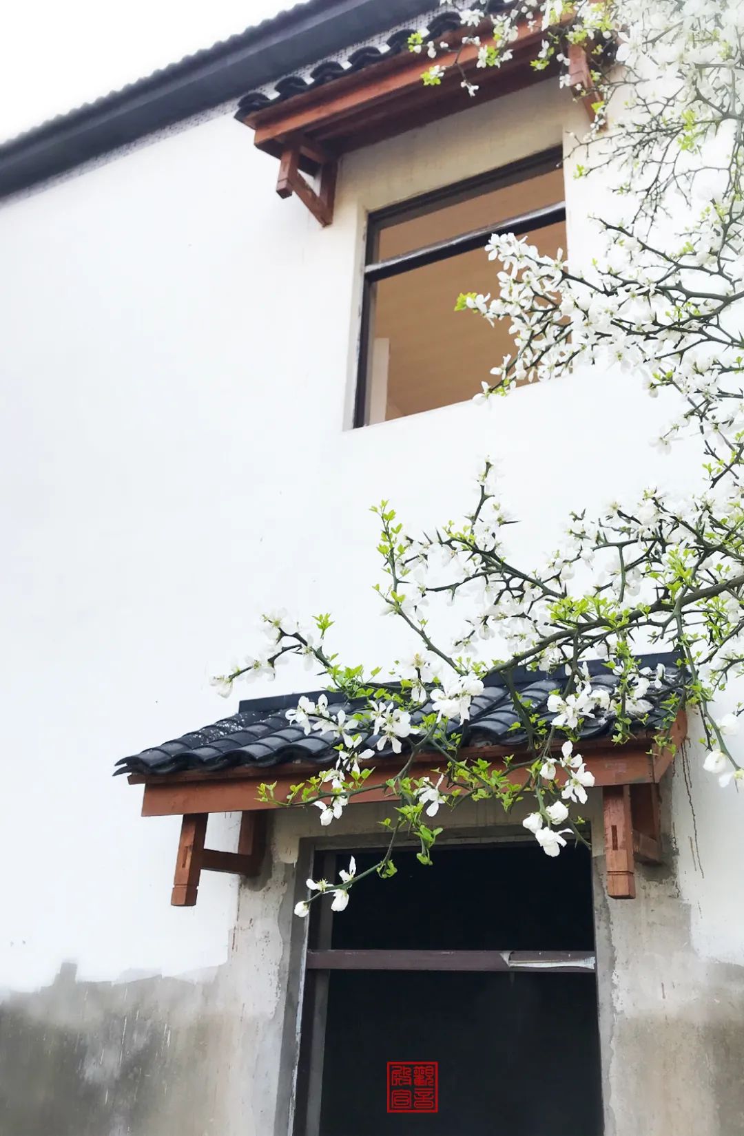 南京江宁网红打卡点有哪些,春日限定江宁新晋网红打卡点出炉