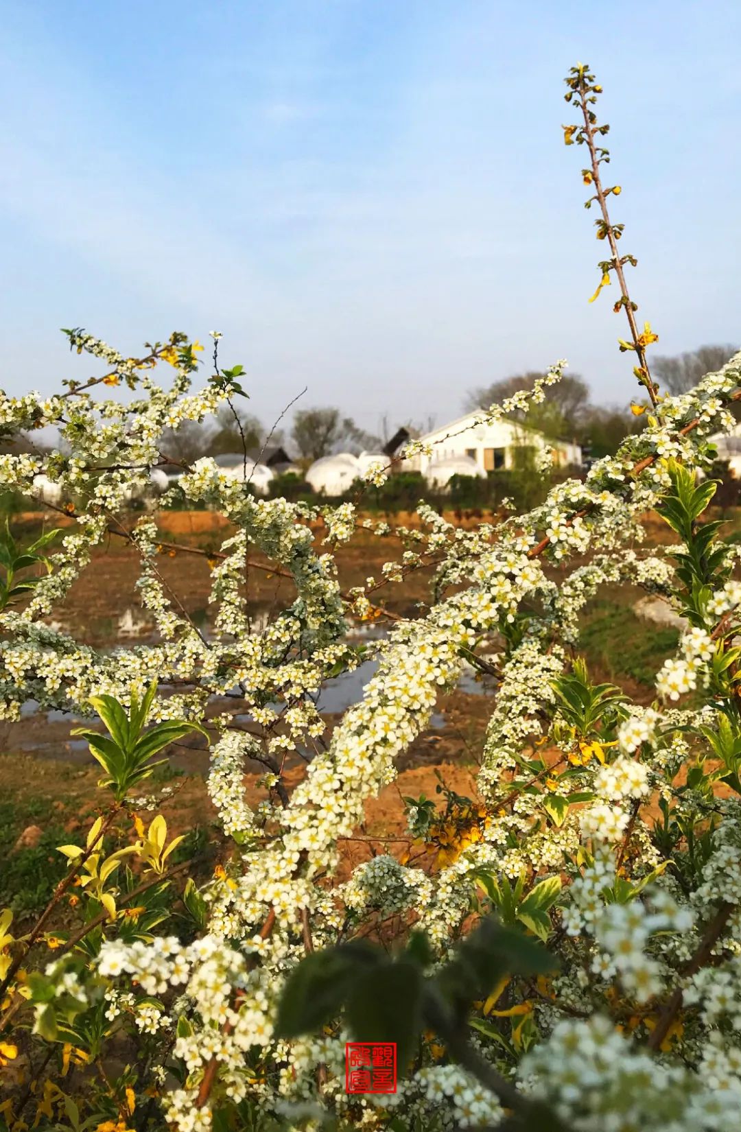 南京江宁网红打卡点有哪些,春日限定江宁新晋网红打卡点出炉