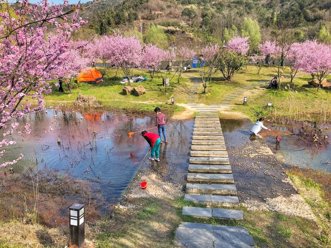 南京江宁网红打卡点有哪些,春日限定江宁新晋网红打卡点出炉