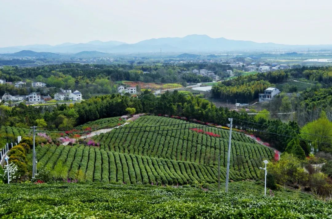 南京江宁网红打卡点有哪些,春日限定江宁新晋网红打卡点出炉