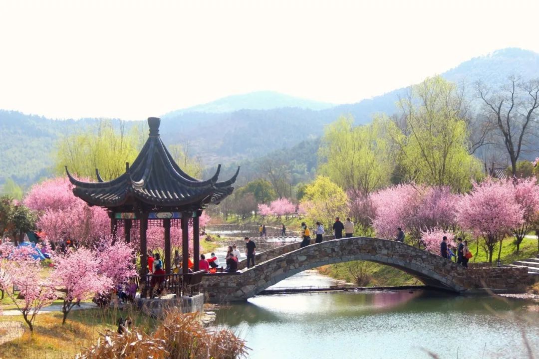 南京江宁网红打卡点有哪些,春日限定江宁新晋网红打卡点出炉