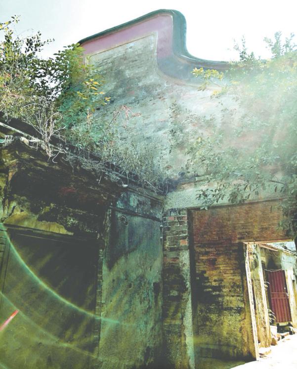 深圳市坪地腊鸭,深圳坪地腊鸭