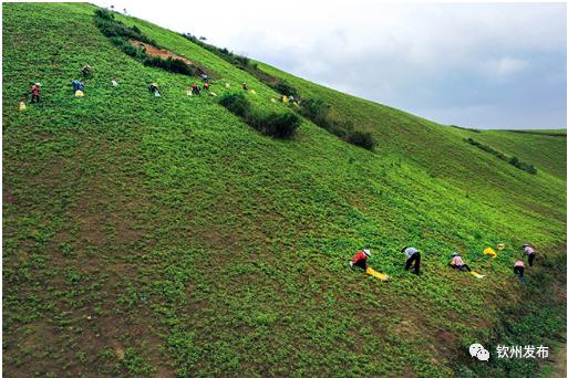 钦州市第一季度经济运行,钦州市2023前三季度经济