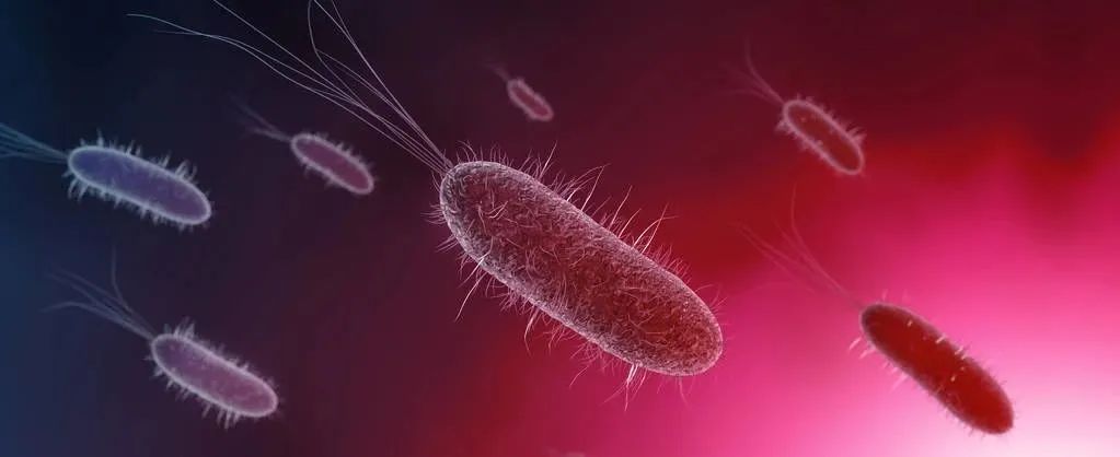 美国科学家研究微生物技术,世界最新微生物基因组研究成果