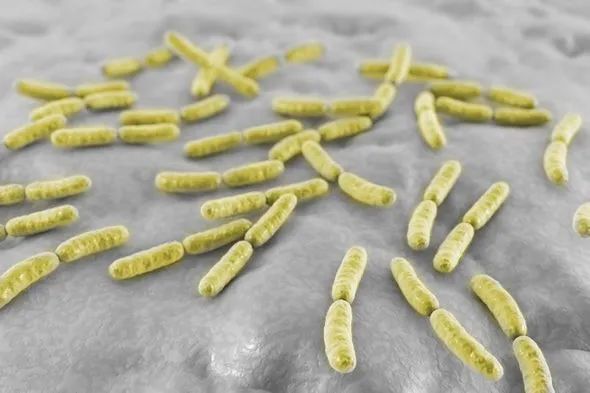 美国科学家研究微生物技术,世界最新微生物基因组研究成果