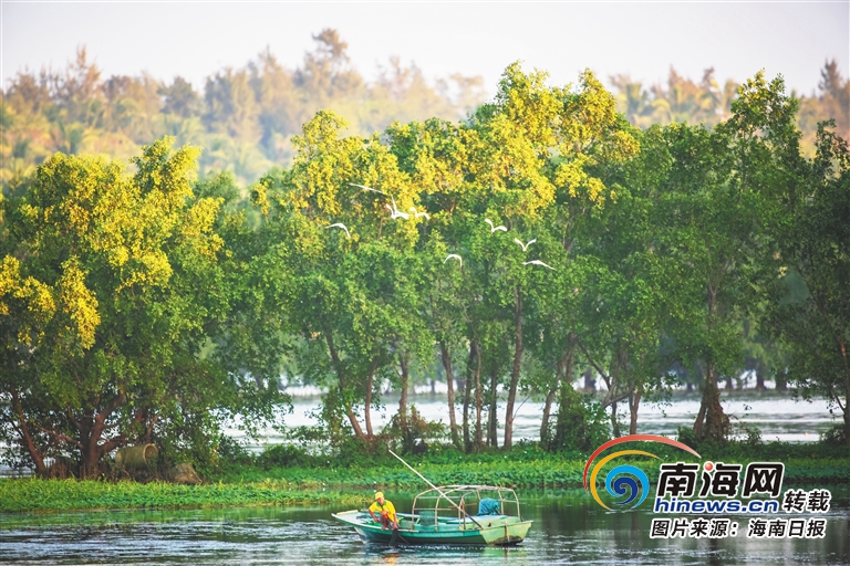 云开雾散，海岛春萌，岛主巡岛啦——与美丽乡村浪漫邂逅，快乐GO