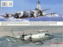 王伟烈士墓前的飞机,王伟烈士墓前有人送来航母模型