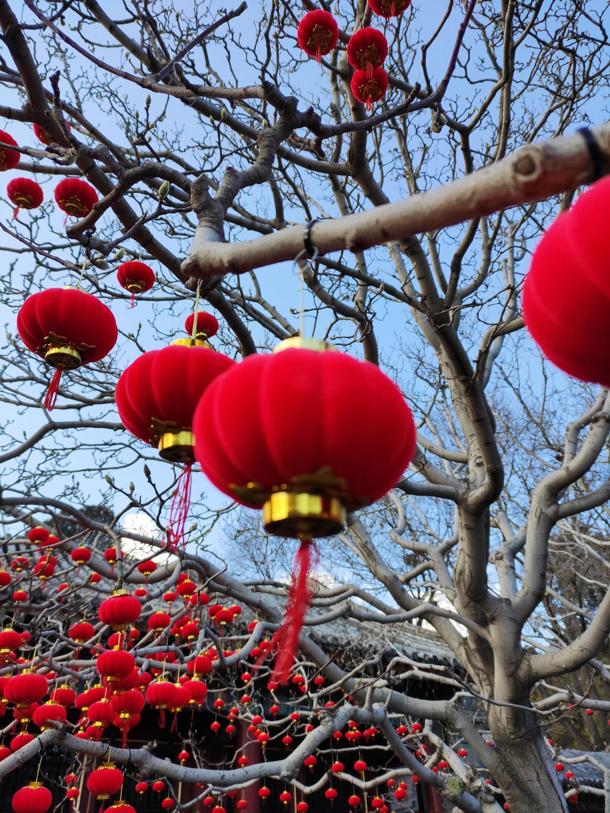 redmik30sultra摄像头,redmik30变焦版摄像头