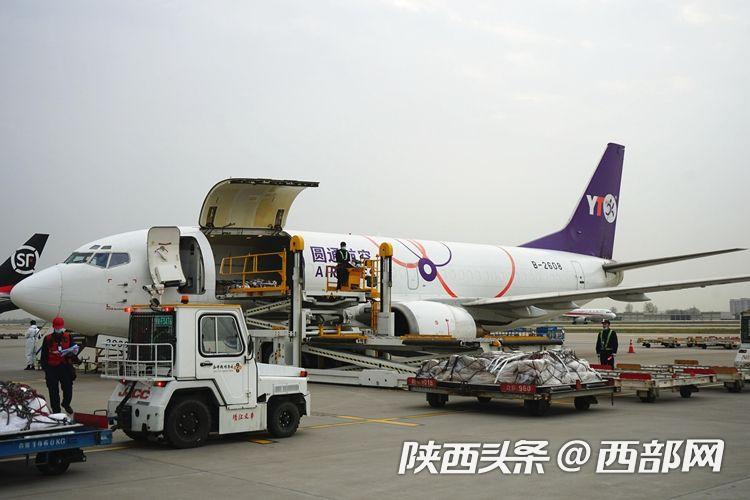 西安咸阳国际机场新开国际航线,西安咸阳机场开通了多少航线