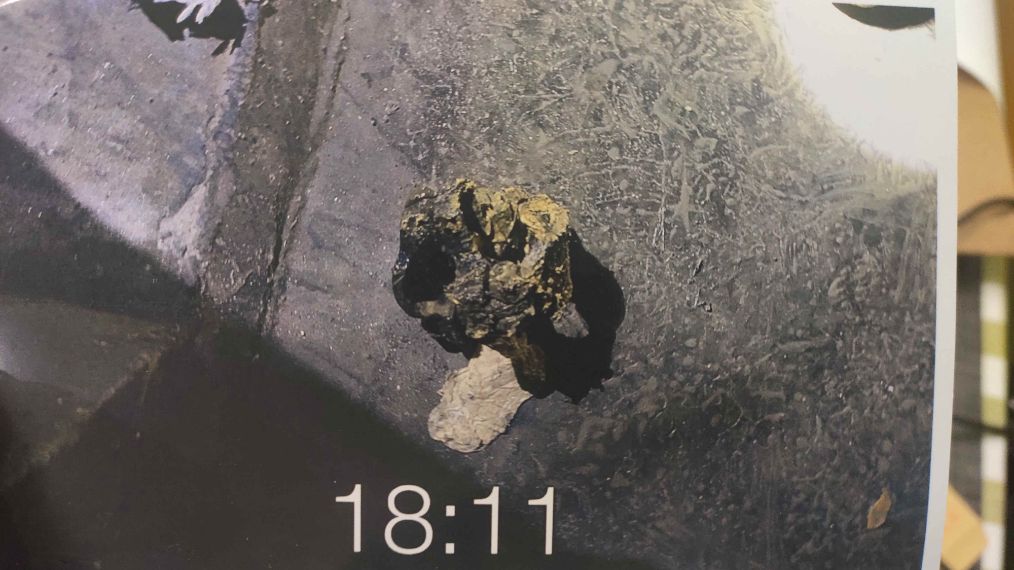 新房惨淡变粪水池,新房变成化粪池