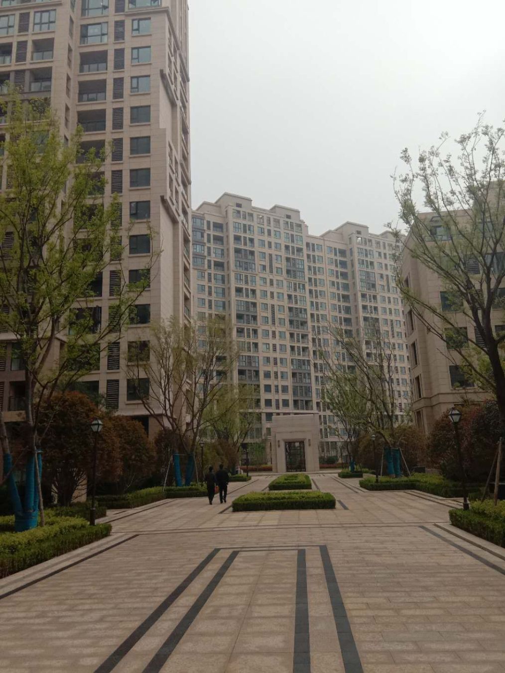 新房惨淡变粪水池,新房变成化粪池