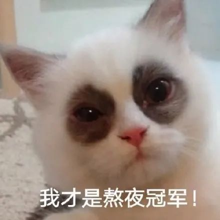 全世界都在吃“四鸭cp”的瓜，而我只关心弟弟的毛孔粗大...