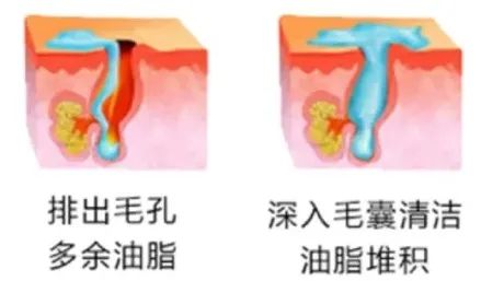 全世界都在吃“四鸭cp”的瓜，而我只关心弟弟的毛孔粗大...