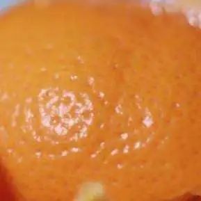 全世界都在吃“四鸭cp”的瓜，而我只关心弟弟的毛孔粗大...